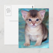 Abyssian Kitten Baby Cat Briefkaarten (Voorkant / Achterkant)