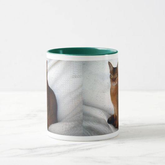 Abyssian Ruddy Vrouw Cat Mok (Midden)