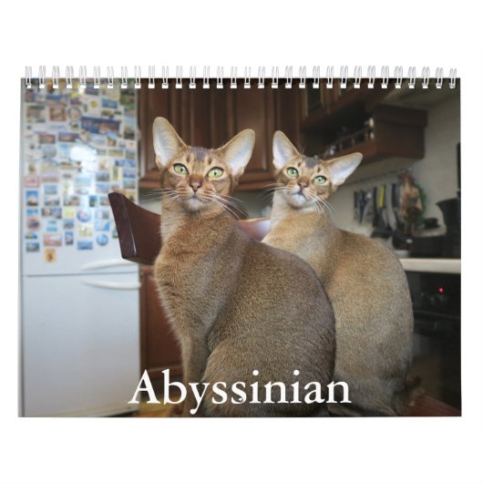 abyssijnse kalender (Hoes)