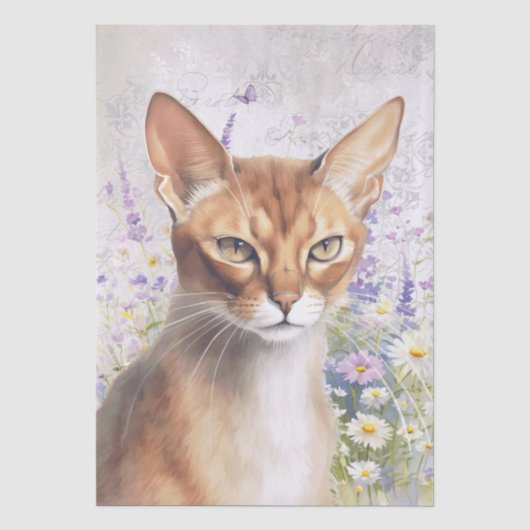 Abyssijnse Kat Aquarel Tissuepapier (Voorkant)