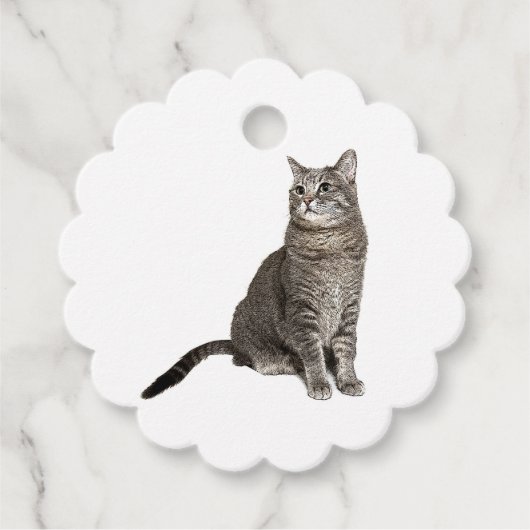 Abyssijnse Kat Bedankjes Labels (Voorkant)