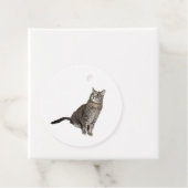 Abyssijnse Kat Bedankjes Labels (In situ)