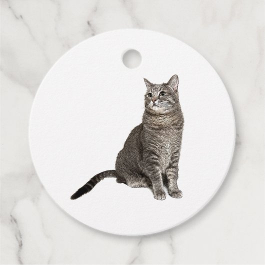 Abyssijnse Kat Bedankjes Labels (Voorkant)