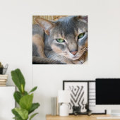 Abyssijnse Kat Grote Blauwe Groene Ogen Poster (Thuiskantoor)