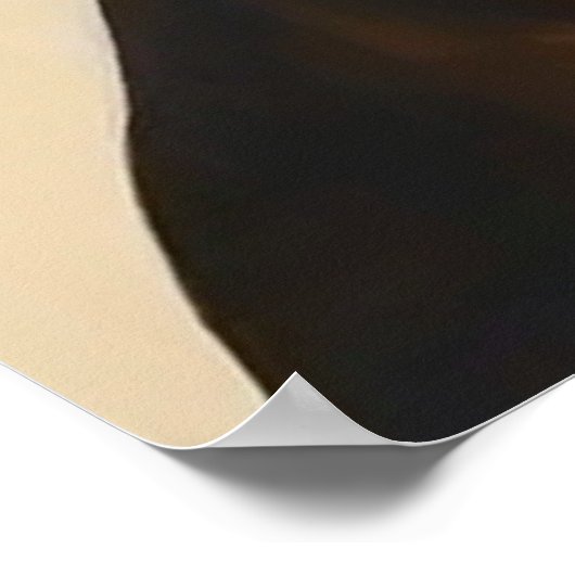 Abyssiniaans - Cat Portrait Poster (Hoek)