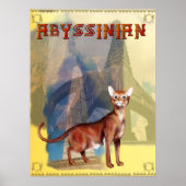 Abyssiniaans Poster (Voorkant)