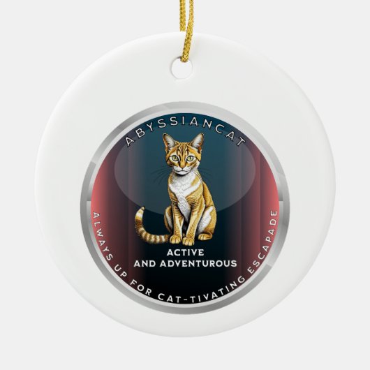 Abyssiniaanse kat keramisch ornament (Voorkant)