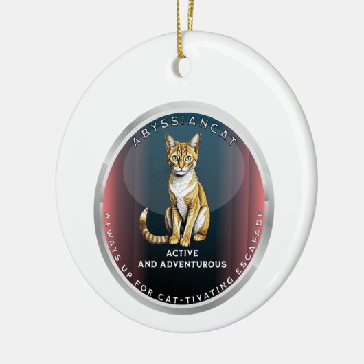 Abyssiniaanse kat keramisch ornament (Links)