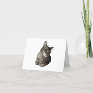 Abyssiniaanse kat verjaardagsfeestje Kaart
