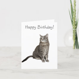 Abyssiniaanse kat verjaardagsfeestje Kaart