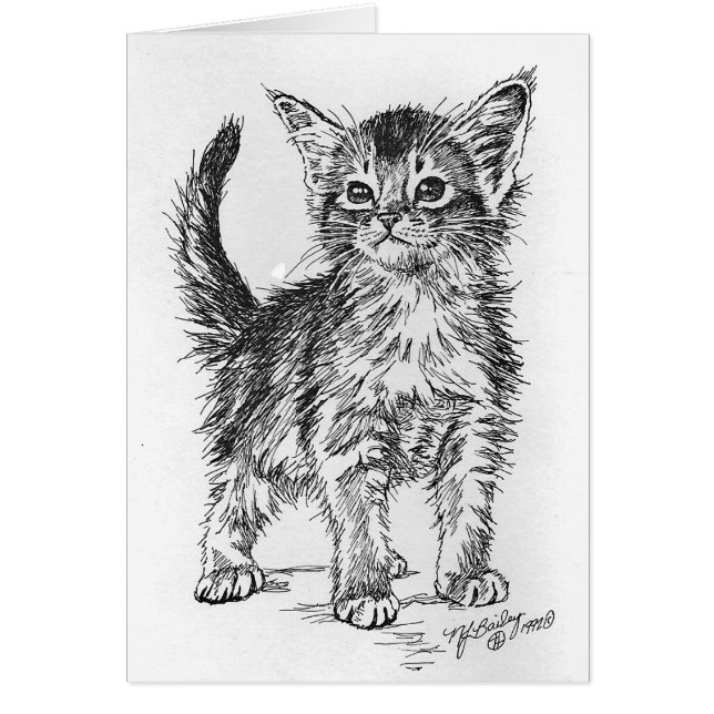 Abyssiniaanse Kitten Pen en Inkt (Voorkant)
