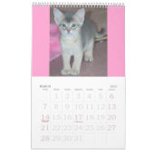 Abyssiniaanse Kittens en Katten Agenda Kalender (Mar 2027)