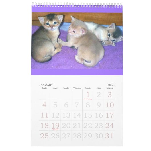Abyssiniaanse Kittens en Katten Agenda Kalender (Jan 2026)