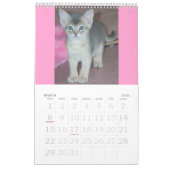 Abyssiniaanse Kittens en Katten Agenda Kalender (Mar 2026)