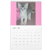 Abyssiniaanse Kittens en Katten Agenda Kalender (Mar 2027)