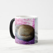 Abyssiniaanse Ruddy Vrouw Cat Mok (Voorkant links)