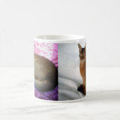 Abyssiniaanse Ruddy Vrouw Cat Mok (Center)