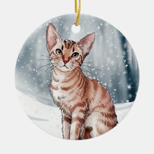 Abyssinian Cat Circle Christmas Ornament (Voorkant)
