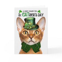 Abyssinian Cat Funny St. CATrick's Day Lucky Charm