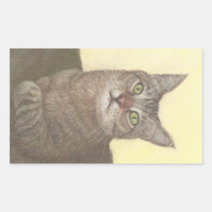 Abyssinian Cat Rechthoekige Sticker