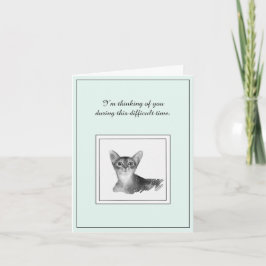 Abyssinian Cat Sympathy Card Kaart