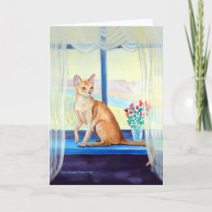 Abyssinian Cat Wenskaarten Kaart