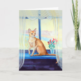Abyssinian Cat Wenskaarten Kaart