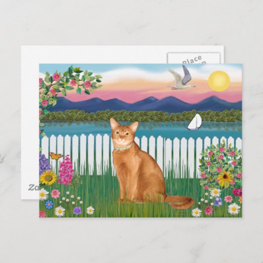 Abyssinian (rood 18) - Garden-Shore Briefkaart (Voorkant / Achterkant)
