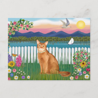 Abyssinian (rood 18) - Garden-Shore Briefkaart
