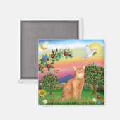 Abyssinian (rood 18) - Helder land Magneet (Voorkant / Achterkant)