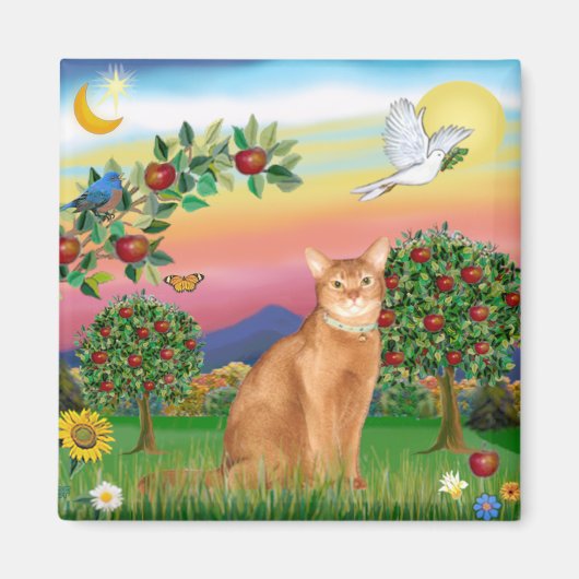 Abyssinian (rood 18) - Helder land Magneet (Voorkant)