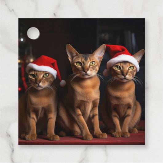 Abyssinien bij de open haard Kerstmis Bedankjes Labels (Voorkant)