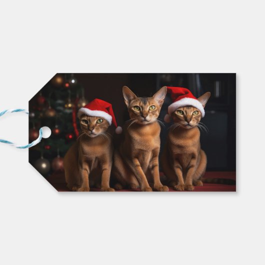 Abyssinien bij de open haard Kerstmis Cadeaulabel (Achterkant Horizontaal)