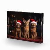 Abyssinien bij de open haard Kerstmis Fotoblokken (Rechts)