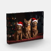 Abyssinien bij de open haard Kerstmis Fotoblokken (Links)