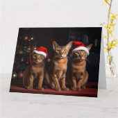 Abyssinien bij de open haard Kerstmis Kaart (Gele Bloem)