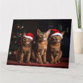 Abyssinien bij de open haard Kerstmis Kaart (Voorkant)