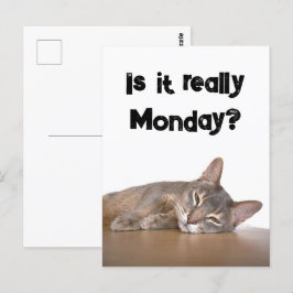 abyssinien bruin grappig kat haat maandag meme briefkaart