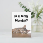 abyssinien bruin grappig kat haat maandag meme briefkaart (Staand voorkant)