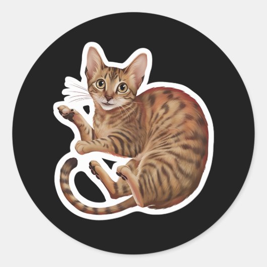Abyssiniër Ronde Sticker (Voorkant)