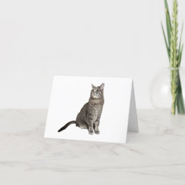 Abyssinische kat bedankje feestdagen kaart