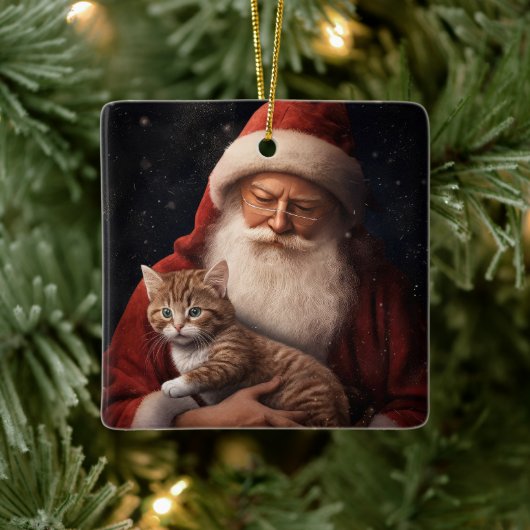 Abyssinische Kat met Sinterklaas Feestelijke Kerst Keramisch Ornament (Boom)