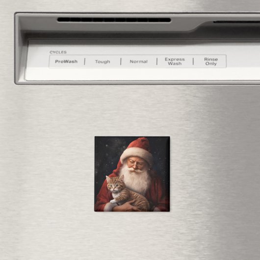 Abyssinische Kat met Sinterklaas Feestelijke Kerst Magneet (Insitu (Vaatwasser))