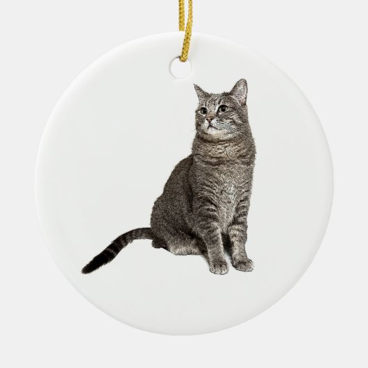Abyssinische kat rond Ornament (Voorkant)