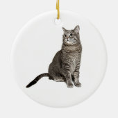 Abyssinische kat rond Ornament (Achterkant)