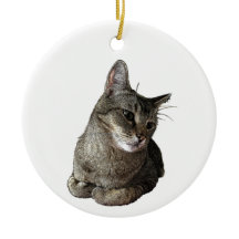 Abyssinische kat rond Ornament