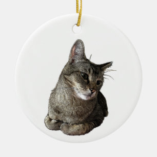 Abyssinische kat rond Ornament