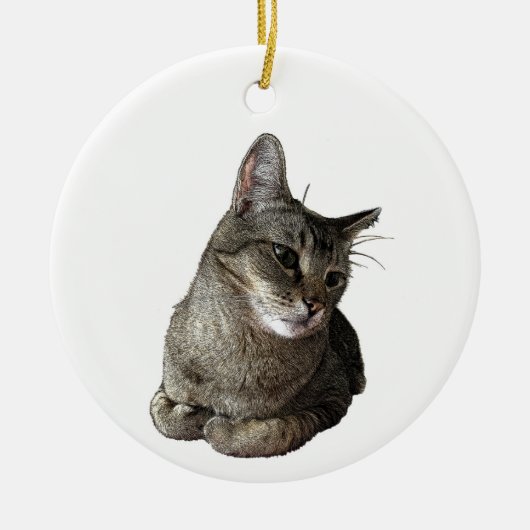 Abyssinische kat rond Ornament (Voorkant)