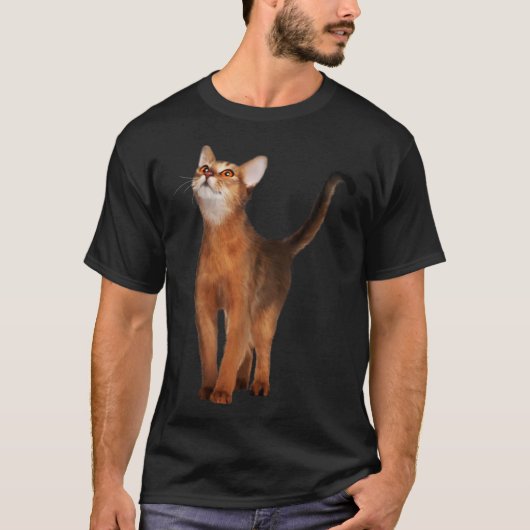 Abyssinische kat t-shirt (Voorkant)