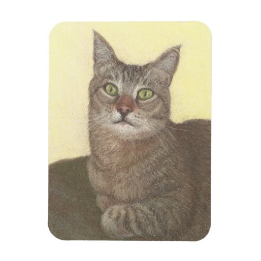 Abyssinische kattenmagneet magneet (Verticaal)